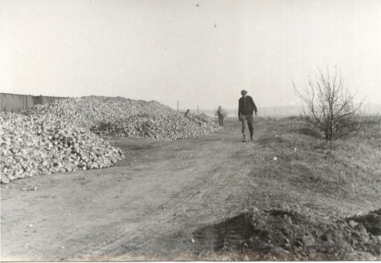 Nádraží - řepná kampaň - 70.léta 20. stol.