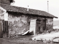 Žst. Strupčice 1984 - kůlna od východu