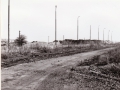 Žst. Strupčice 1984 - stožáry osvětlení vých. strany kolejiště, v pozadí skrytá ornice